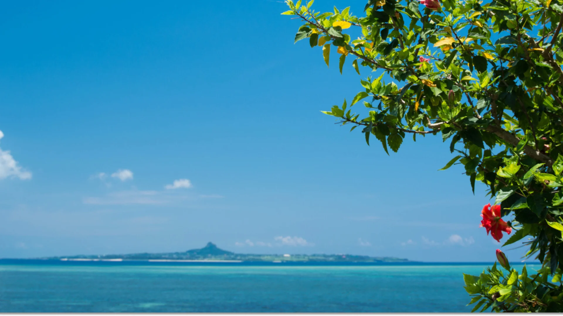 ジャングリアの翌日は 備瀬でととのう